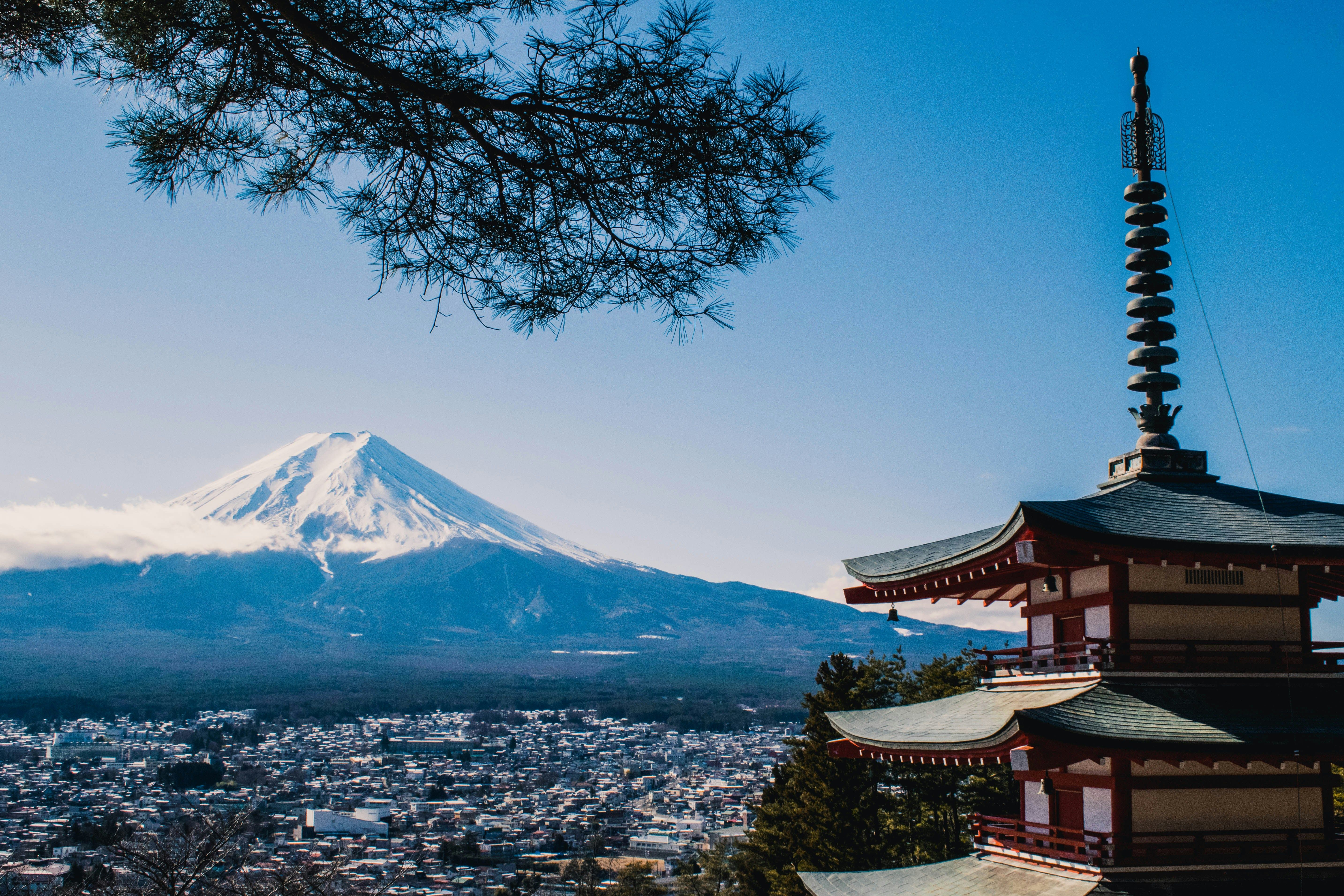 Fujisan 5 Gome in Narusawa-mura - Ask AI | mindtrip
