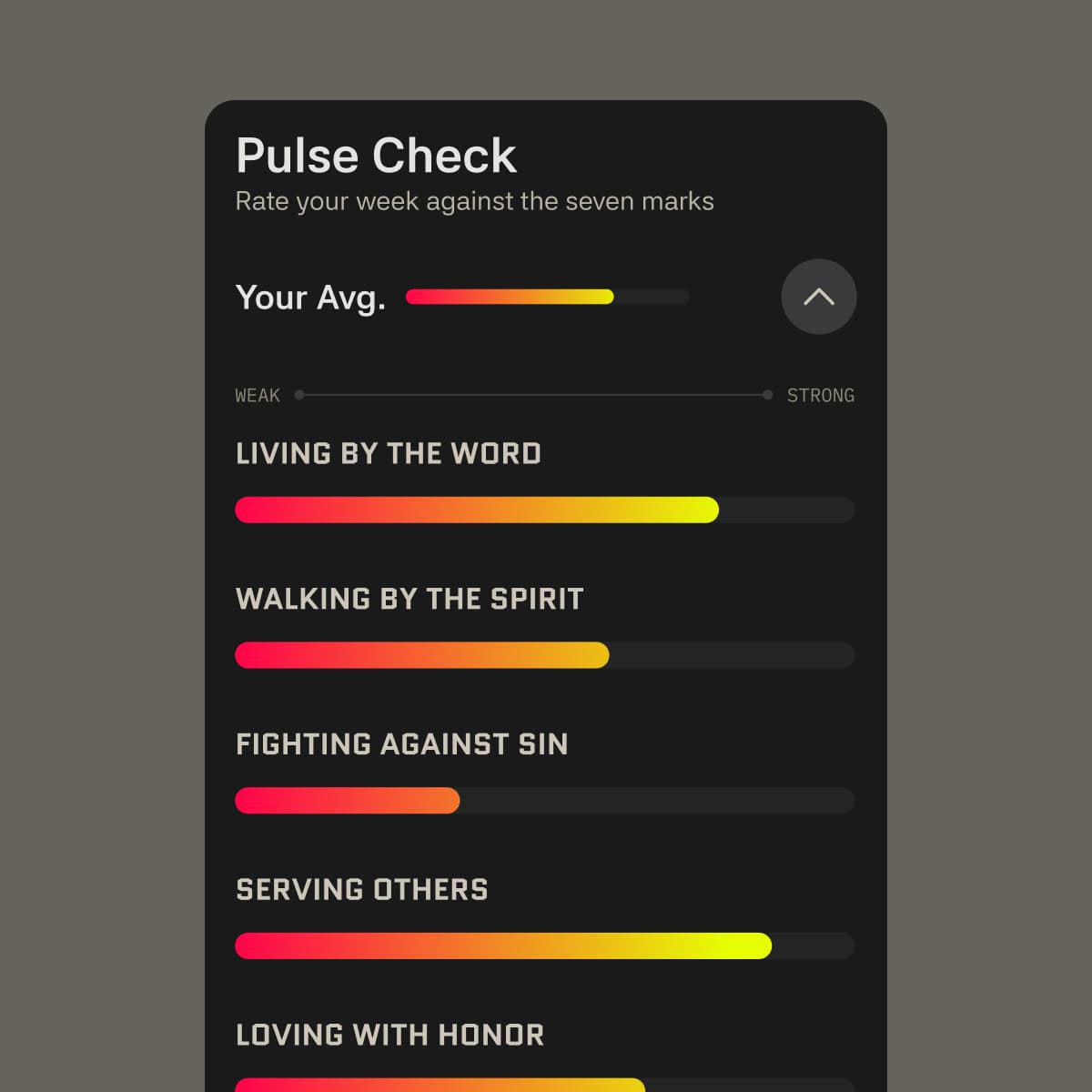IRON X IRON Pulse Check interface