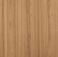 Elm