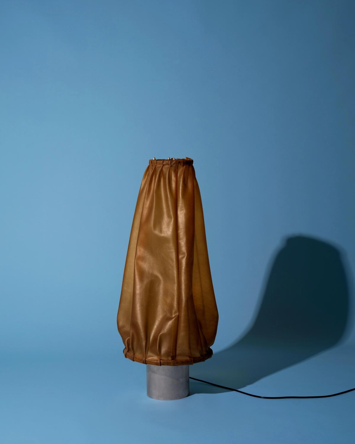 Hide Lamp
