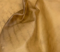 Transparent Leather