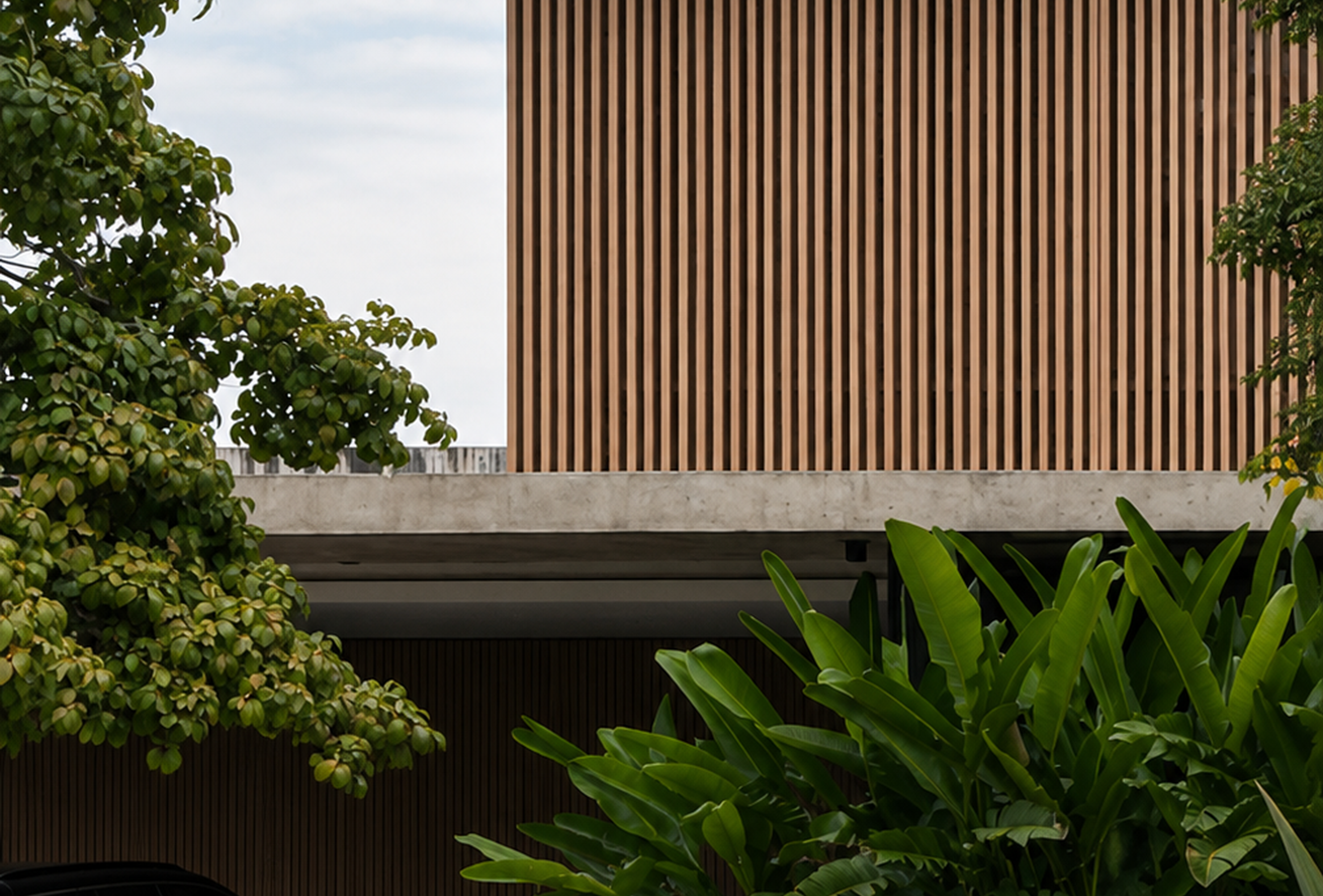 Timbertech 100×50