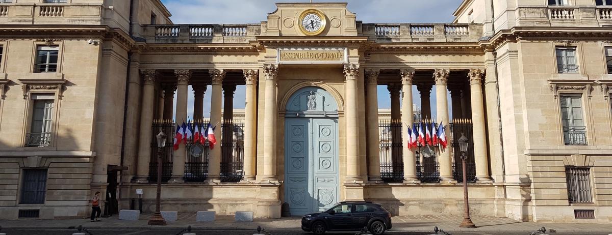 Grand neoclassical stone building with tall columns, French flags flanking a large blue door, and a black car parked outside.