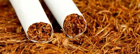 tobacco-flavour