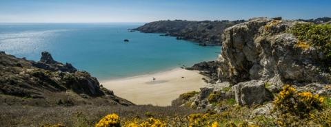 guernsey-vape-ban.