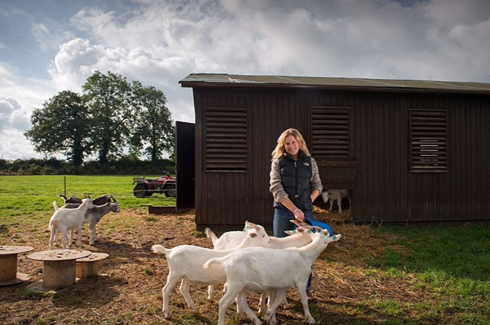 Free-range Kid Goat Meat 