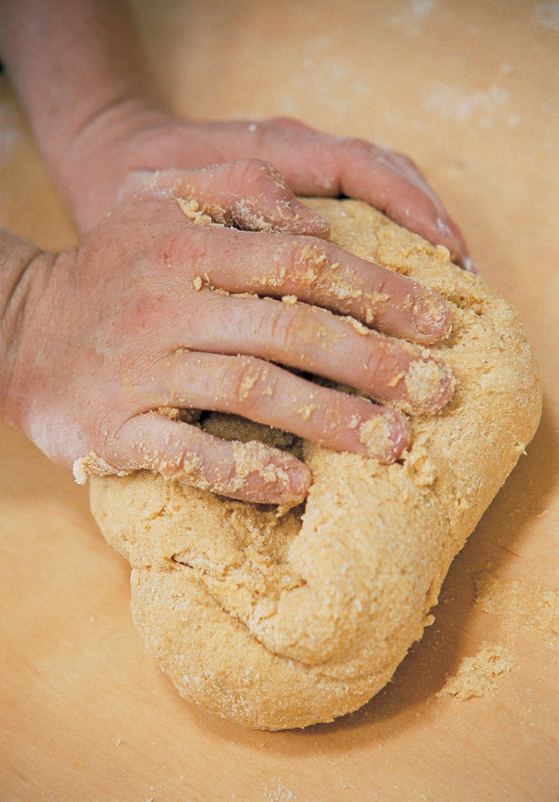 Recette quotidienne de pâtes rapides