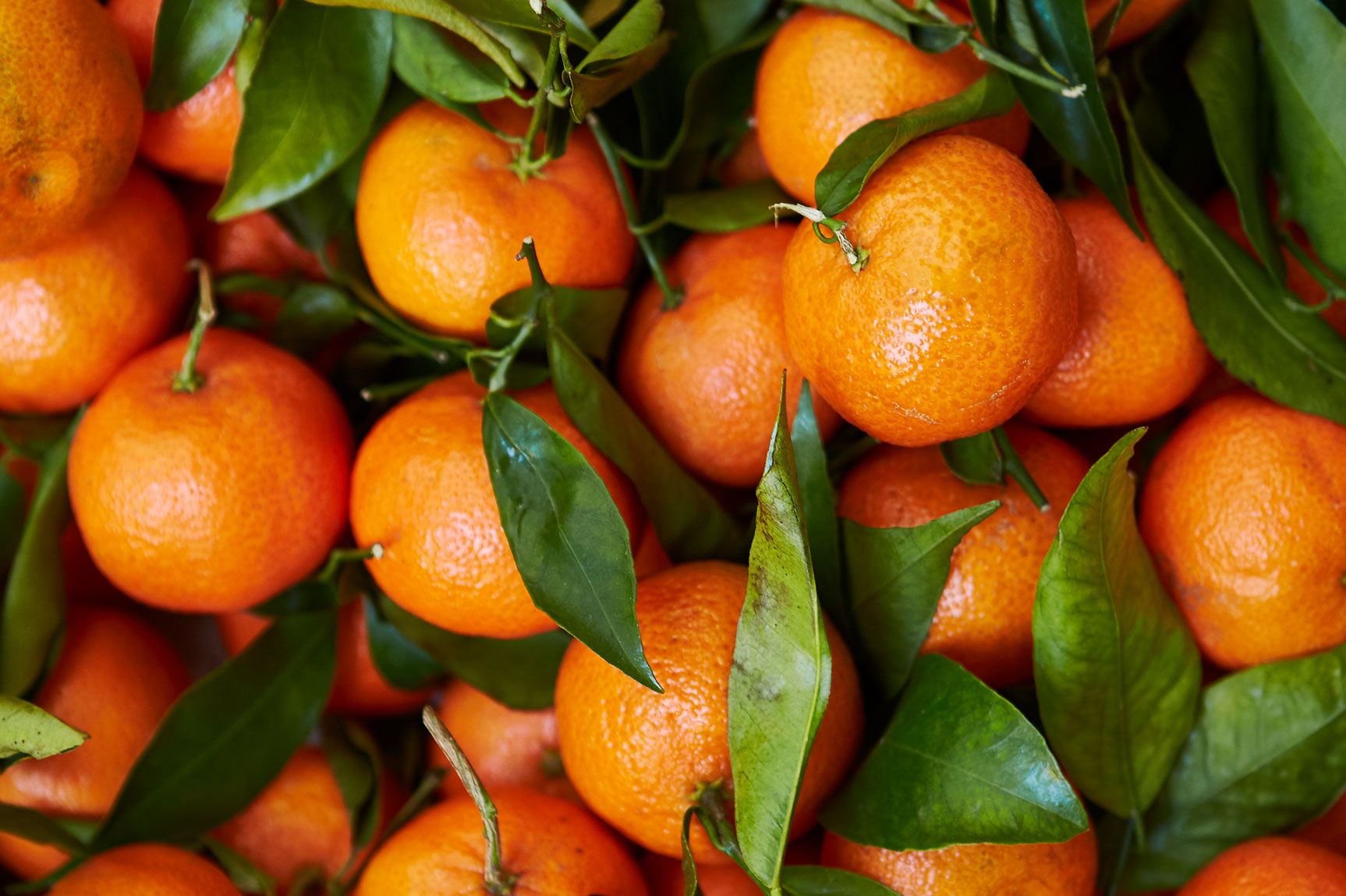 Jamie Oliver | Features | What's in season in December
