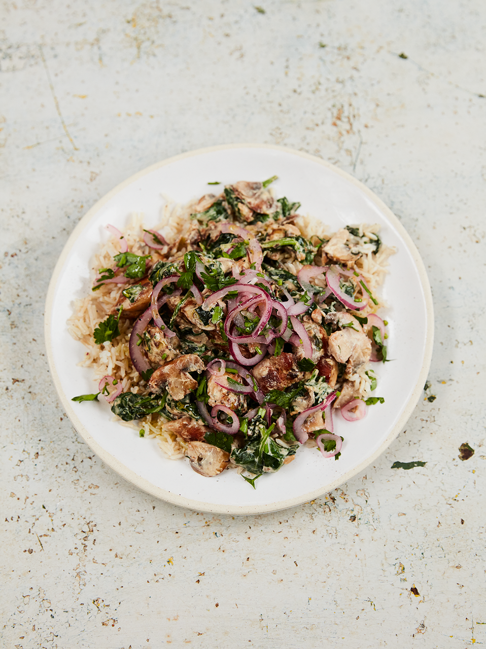 Chicken & mushroom stroganoff