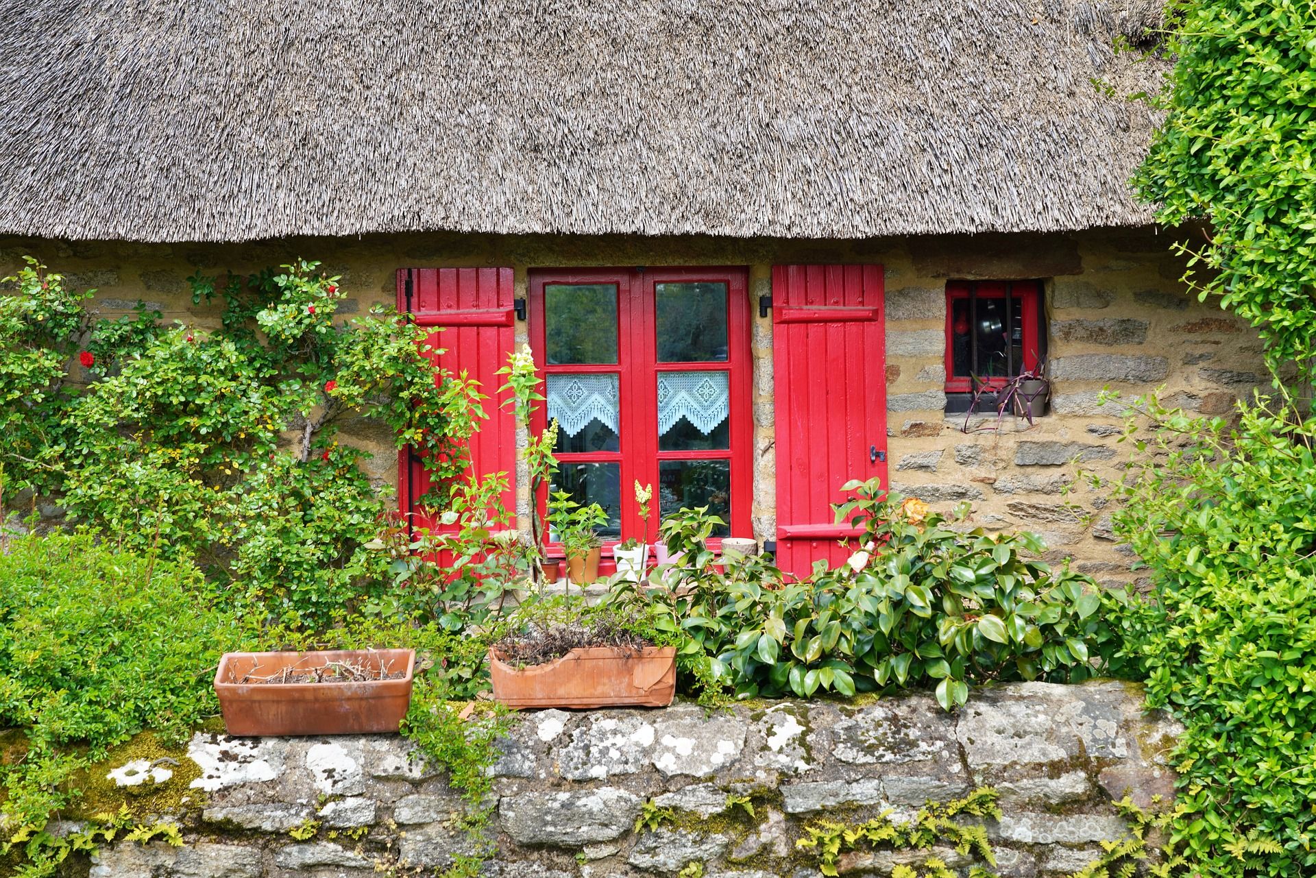 thatched cottage with red framed window and shutters