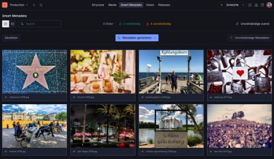 Grid-Ansicht des Smart Metadata Plugins mit KI-generierten Alt-Texten und Bewertungen für mehrere Bilder