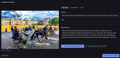 Metadaten-Tab mit KI-generiertem Alt-Text, Title und Description für ein einzelnes Bild