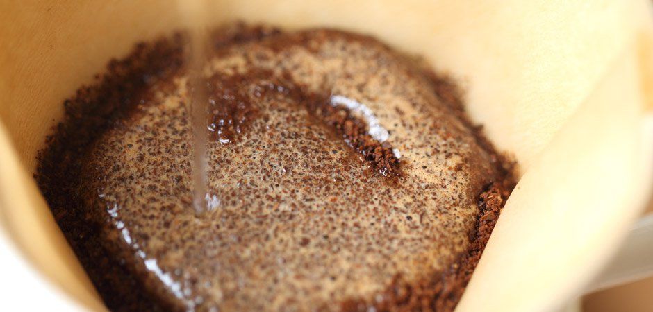 Pouring water over ground coffee in Blue Bottle Coffee pour over dripper