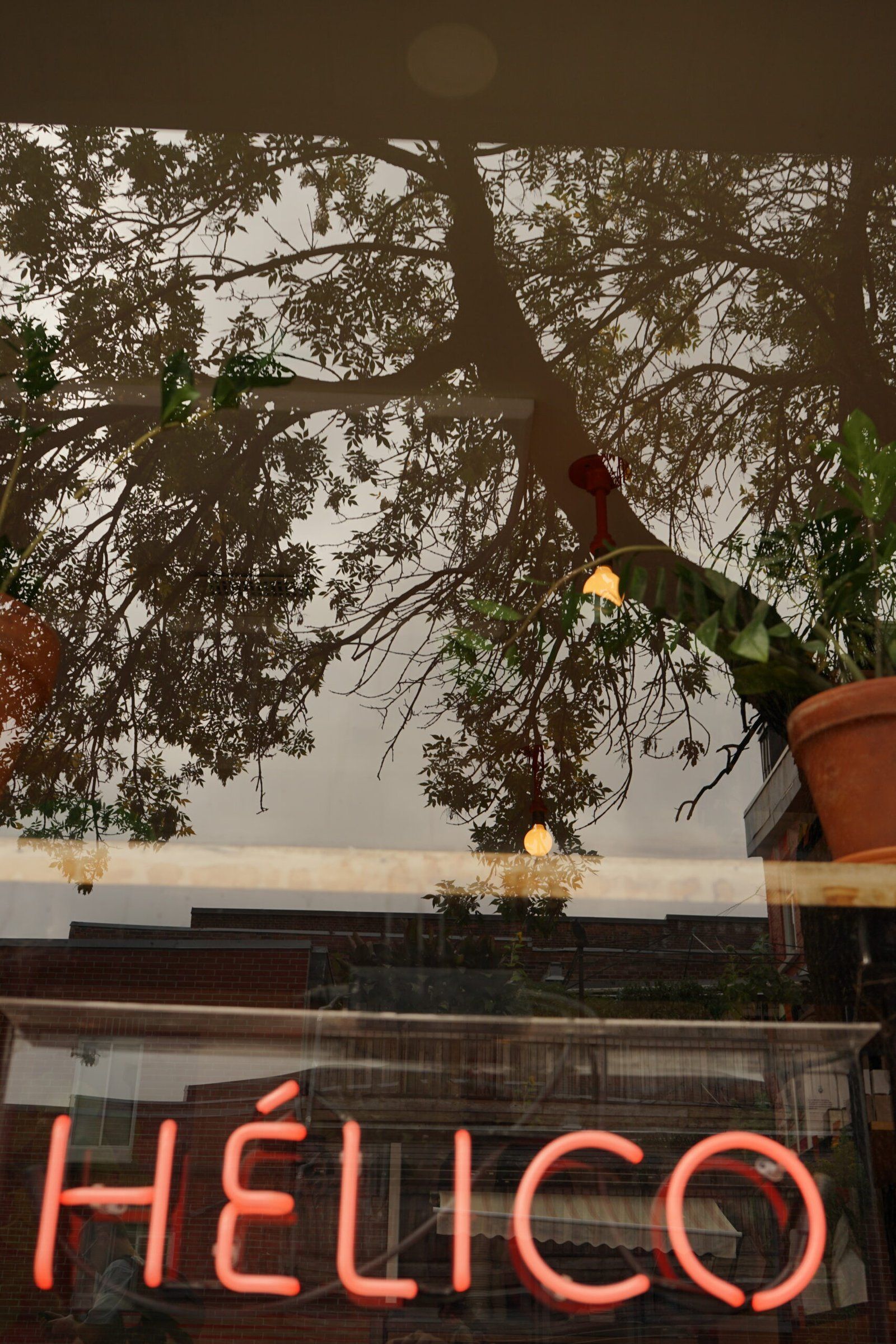 Plat signature Hélico