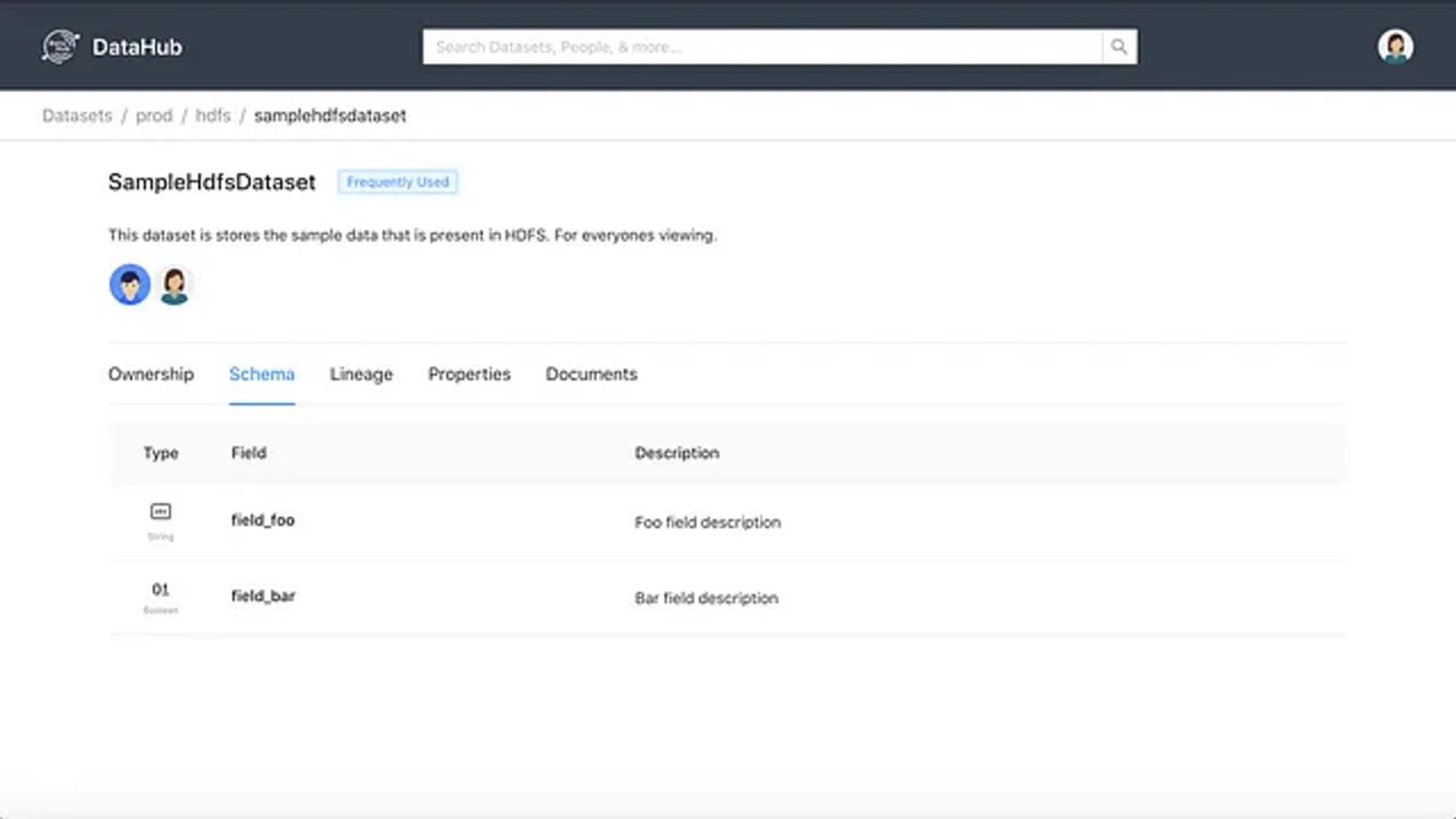 DataHubDataset Page with Schema