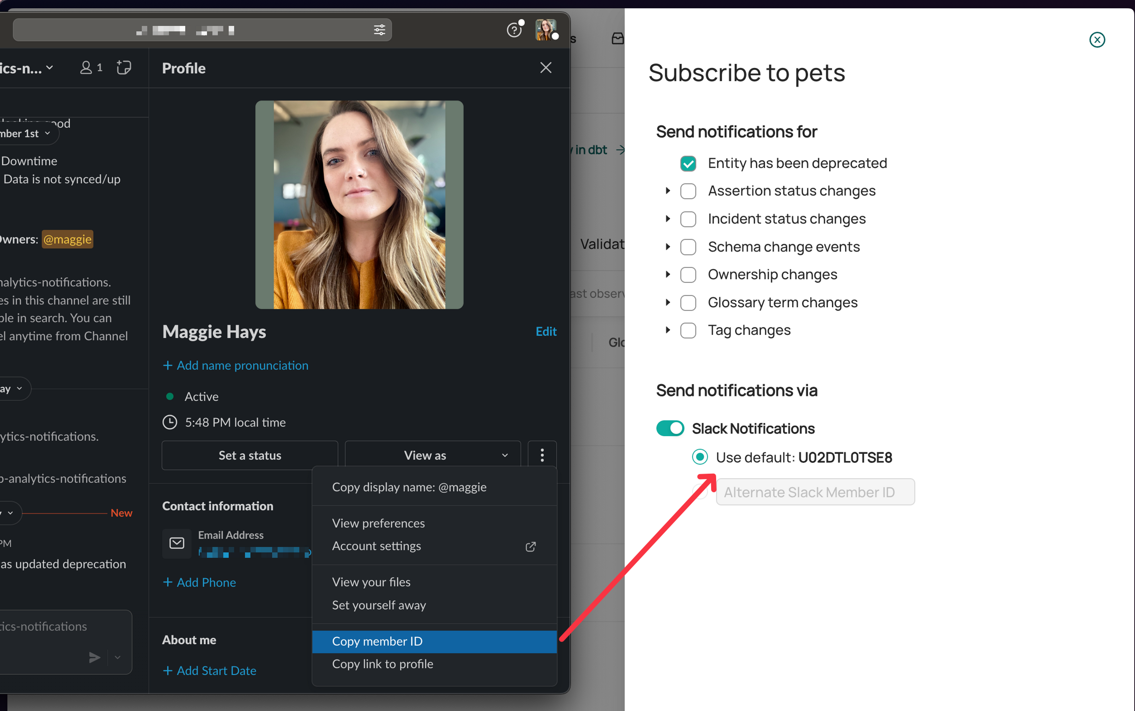 Subscription and Notifications - User can Set User ID