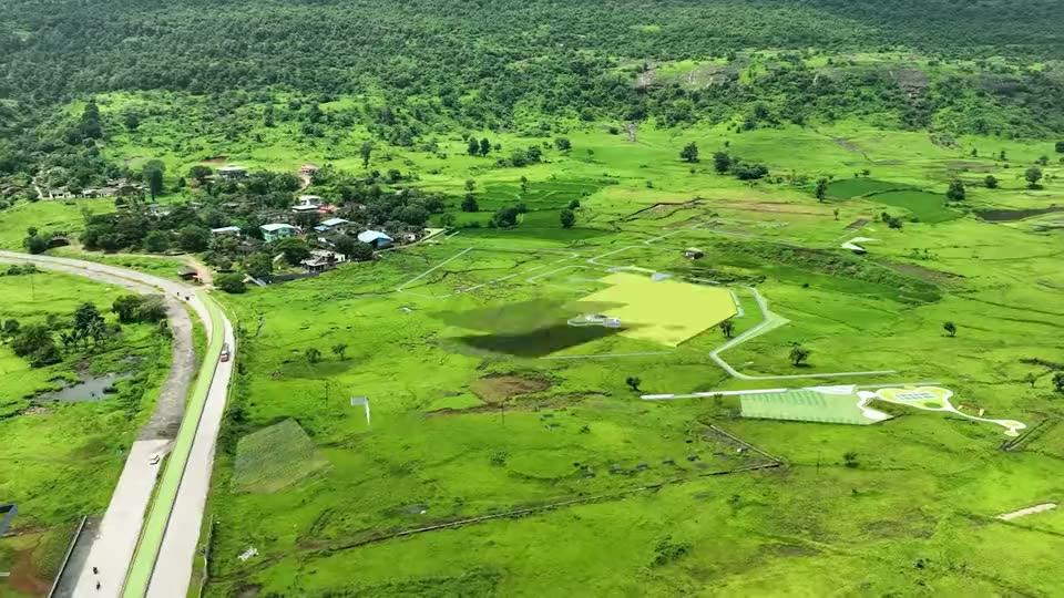 Aria, Kalpataru