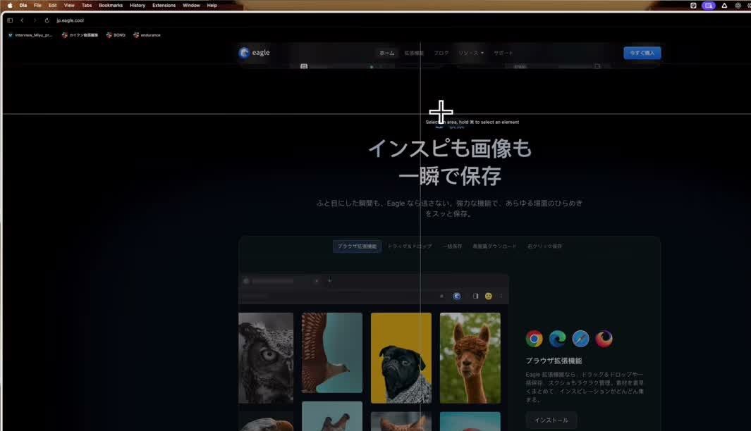 拡張機能で、保存したい範囲を選んでいるところ