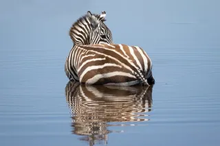 Nakuru National Park