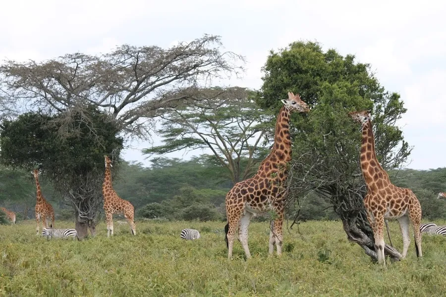 Africa Revisited – Capturing Kenya