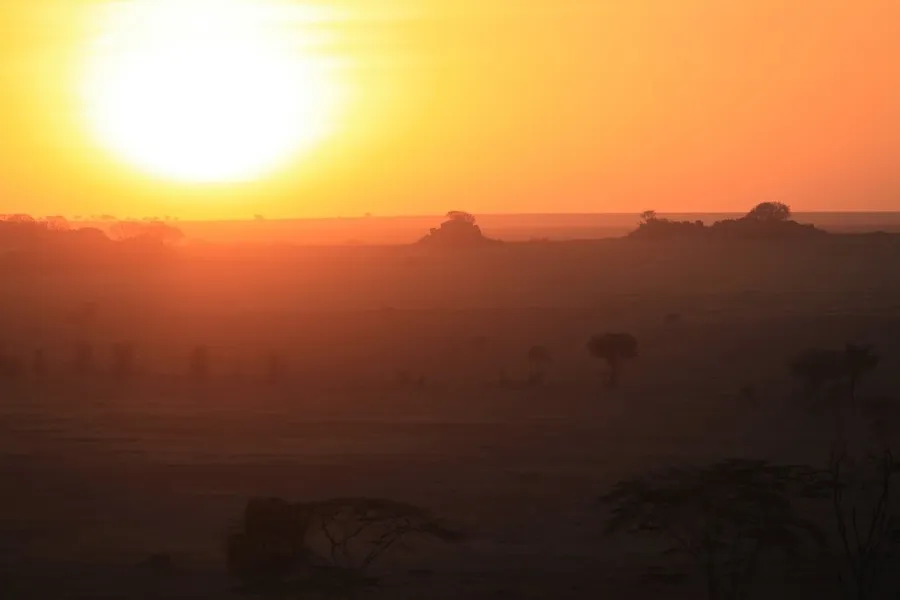serengeti-011
