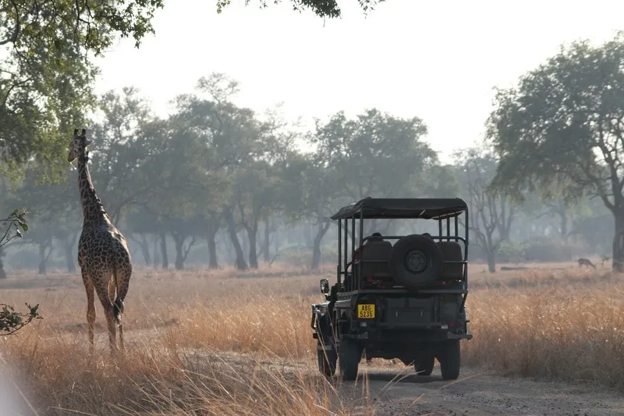 South Luangwa NP