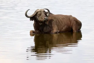 Nakuru