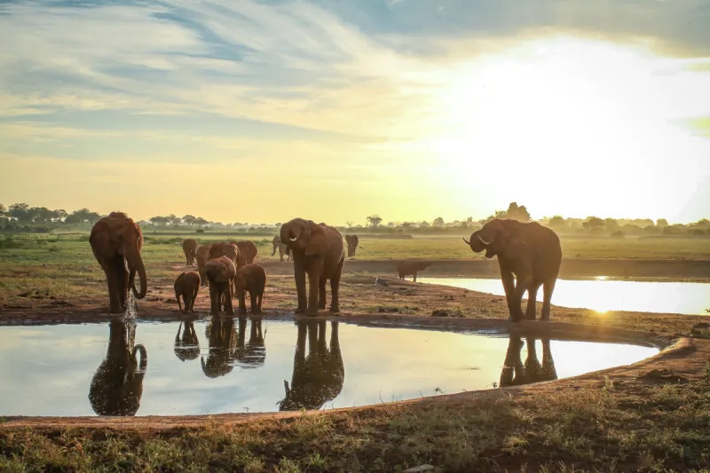 Go East: Amboseli, Tsavo & Eastern Kenya Safari