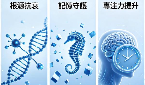全方位腦部抗衰方案：從根源守護記憶與專注力