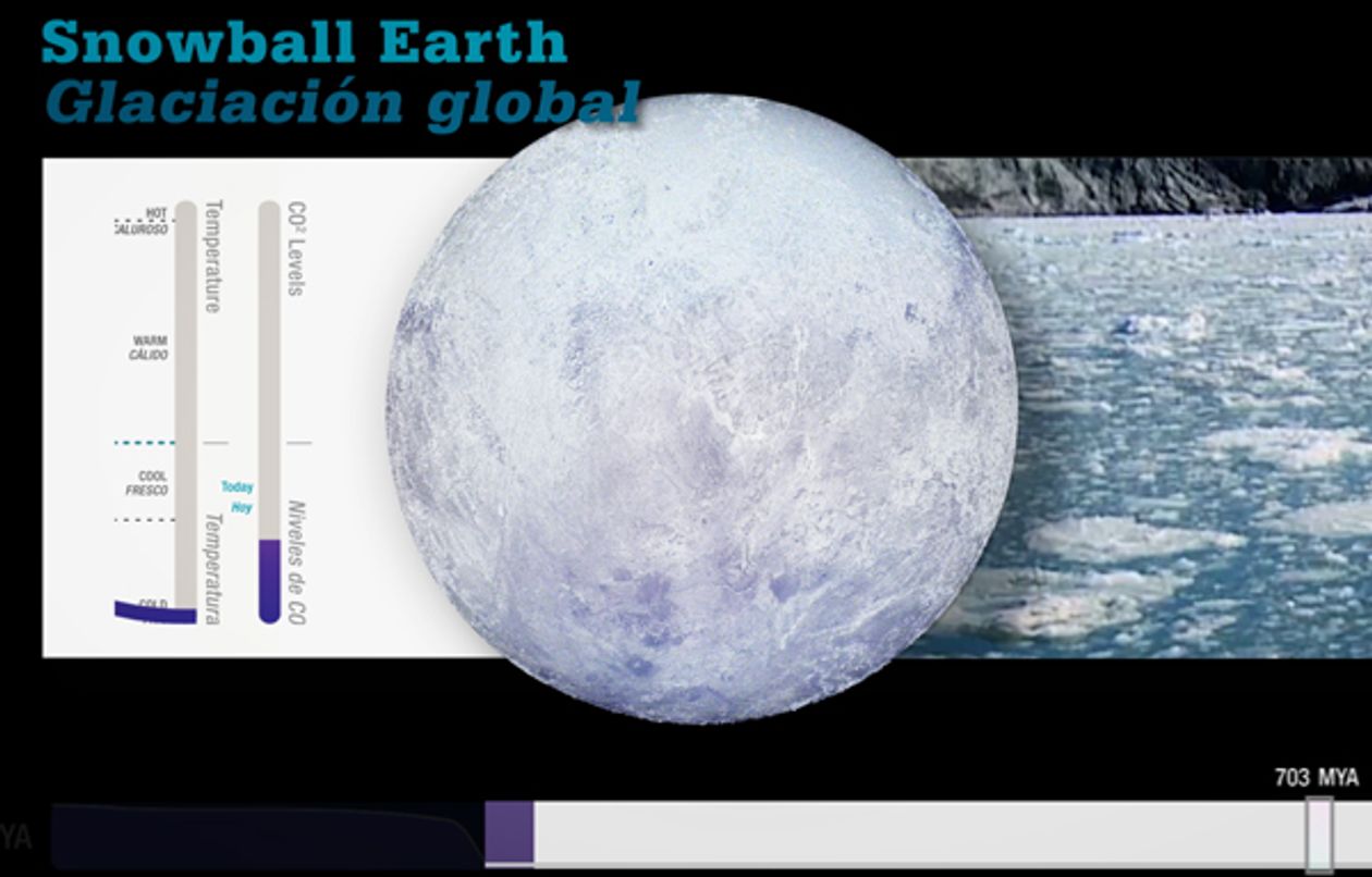 Perot Museum Climate Change Visual Storytelling