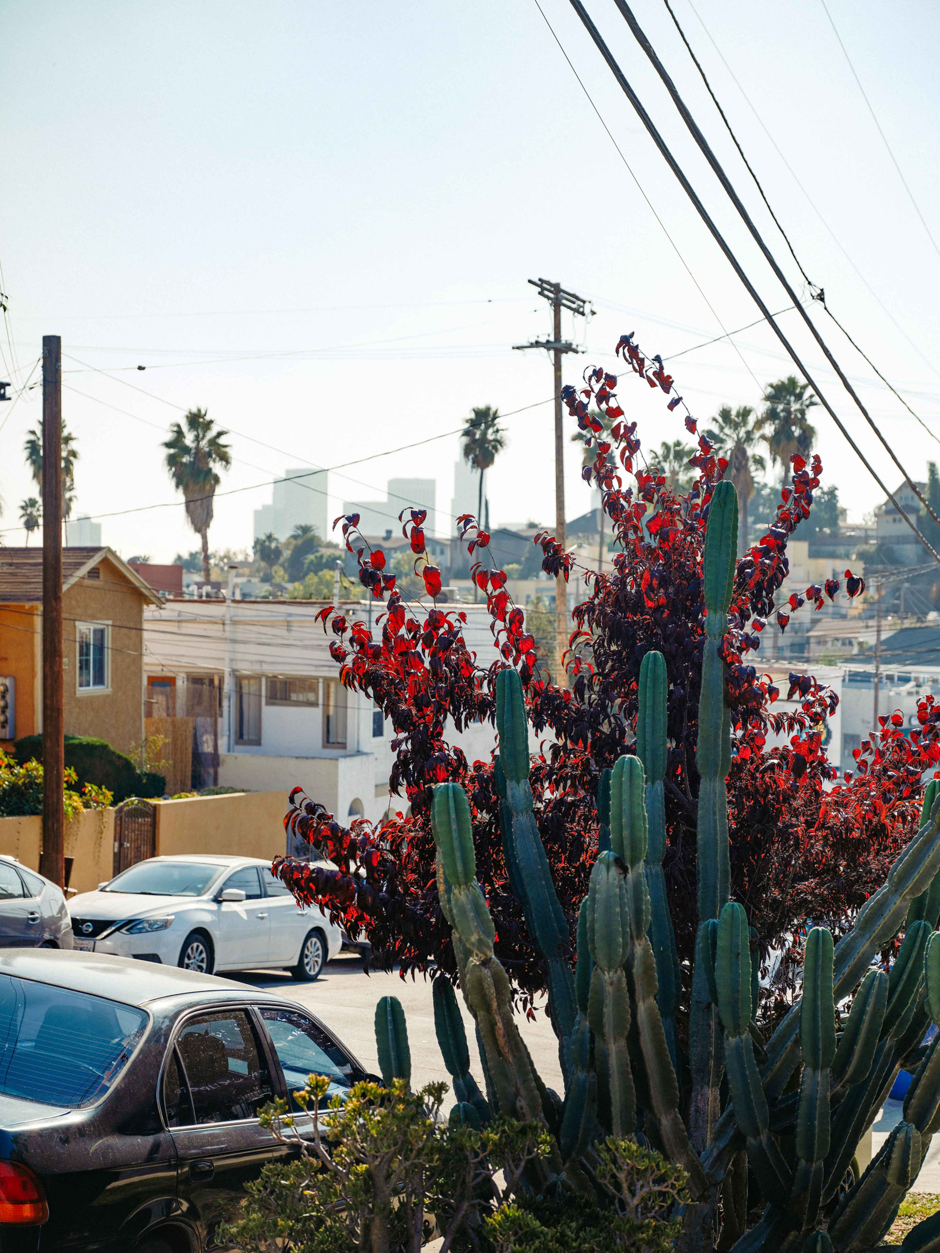 ECHO PARK HOME0001 LOS ANGELES FURNISHED APARTMENT FOR SALE