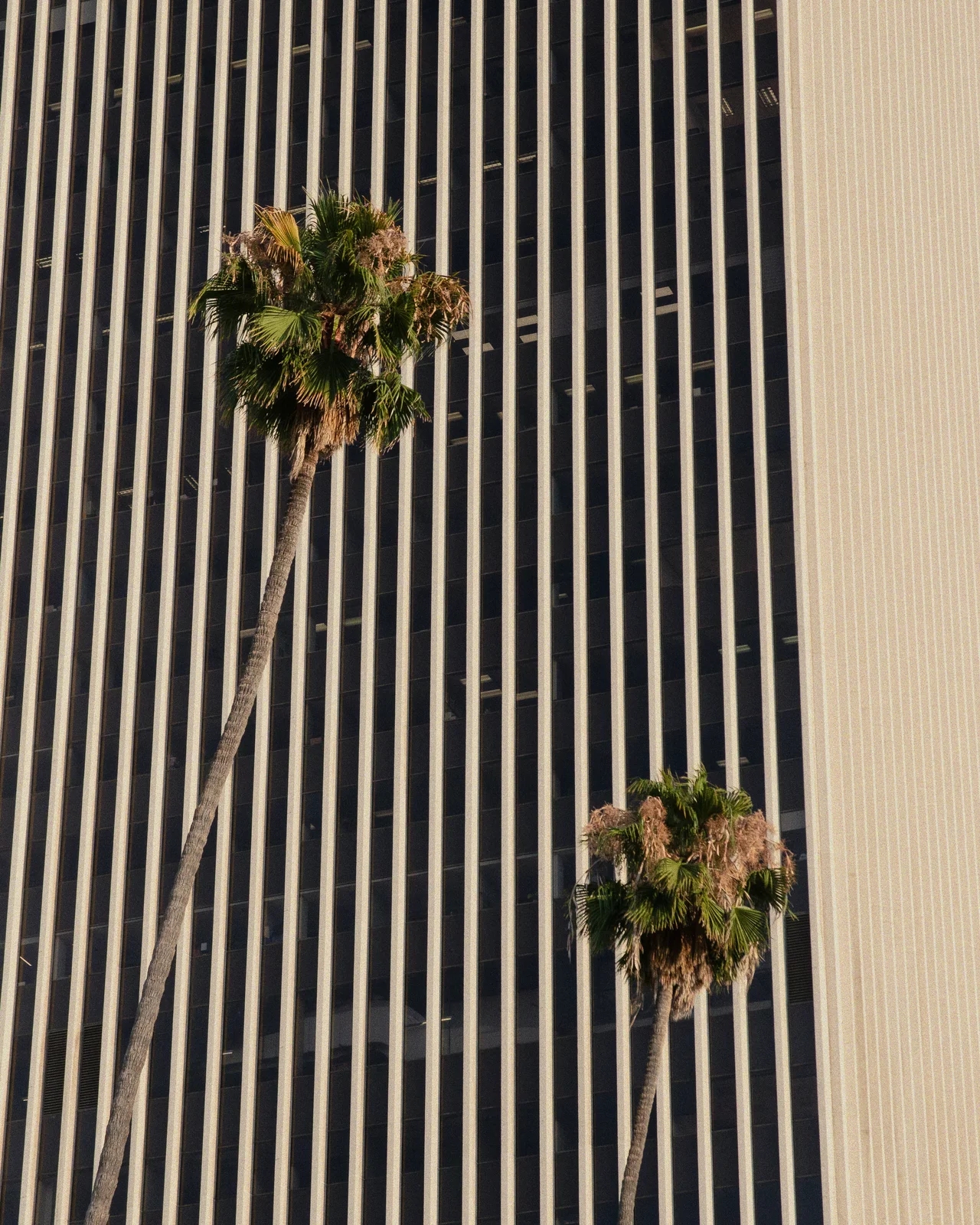 Home0001 Koreatown LA