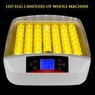 Digital 42 Eggs Incubator Pet Digital Candler Auto Turning Chicken Bird Supplies