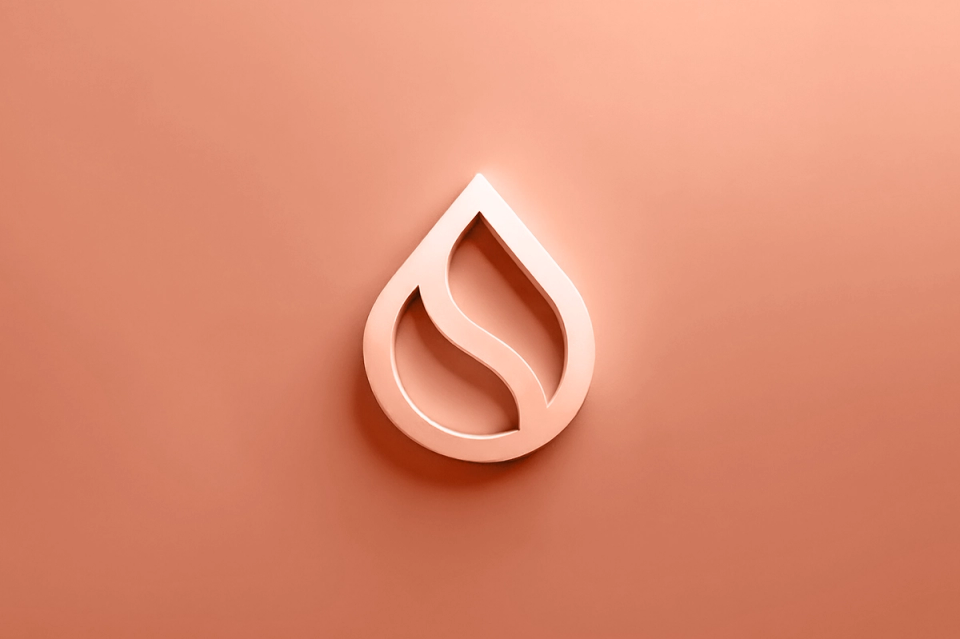 Building Block: Sui