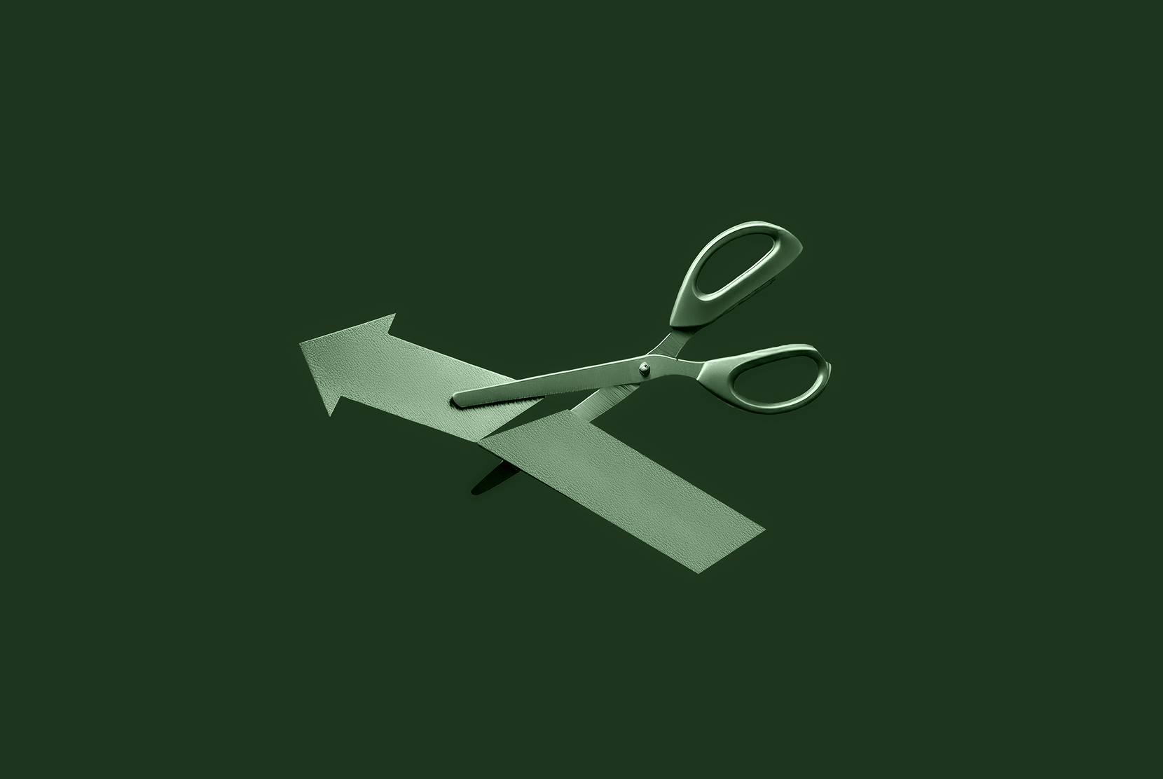 August 2024: Bitcoin, the Dollar, and Fed Rate Cuts | Grayscale