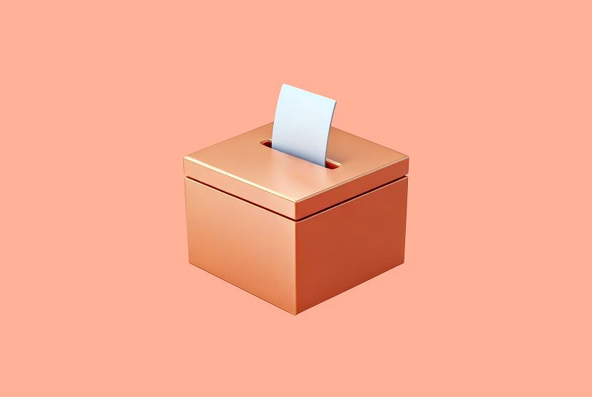 2022 Midterm Elections