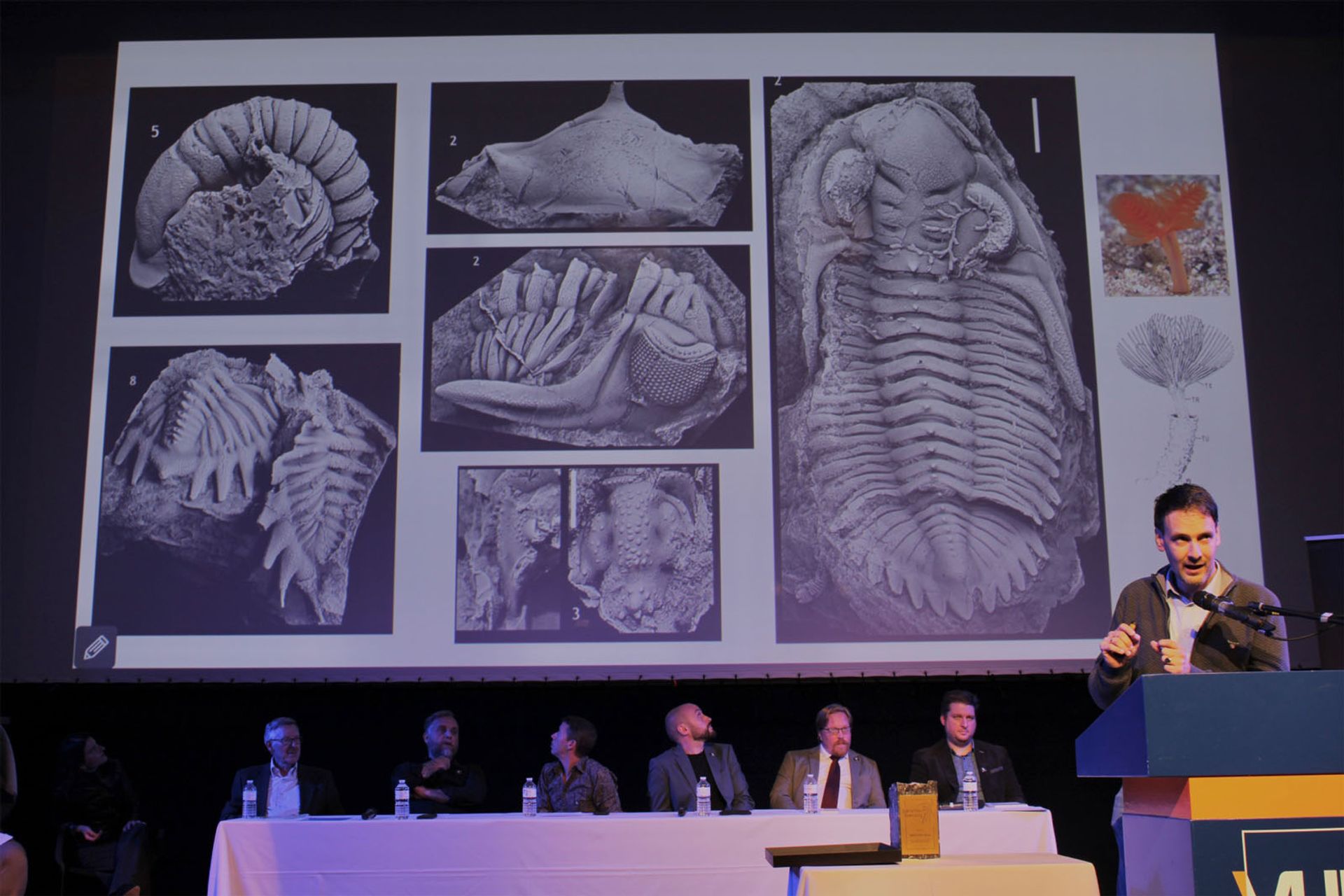 The 2023 Louis De Pauw & Palaeontologica Belgica Awards
