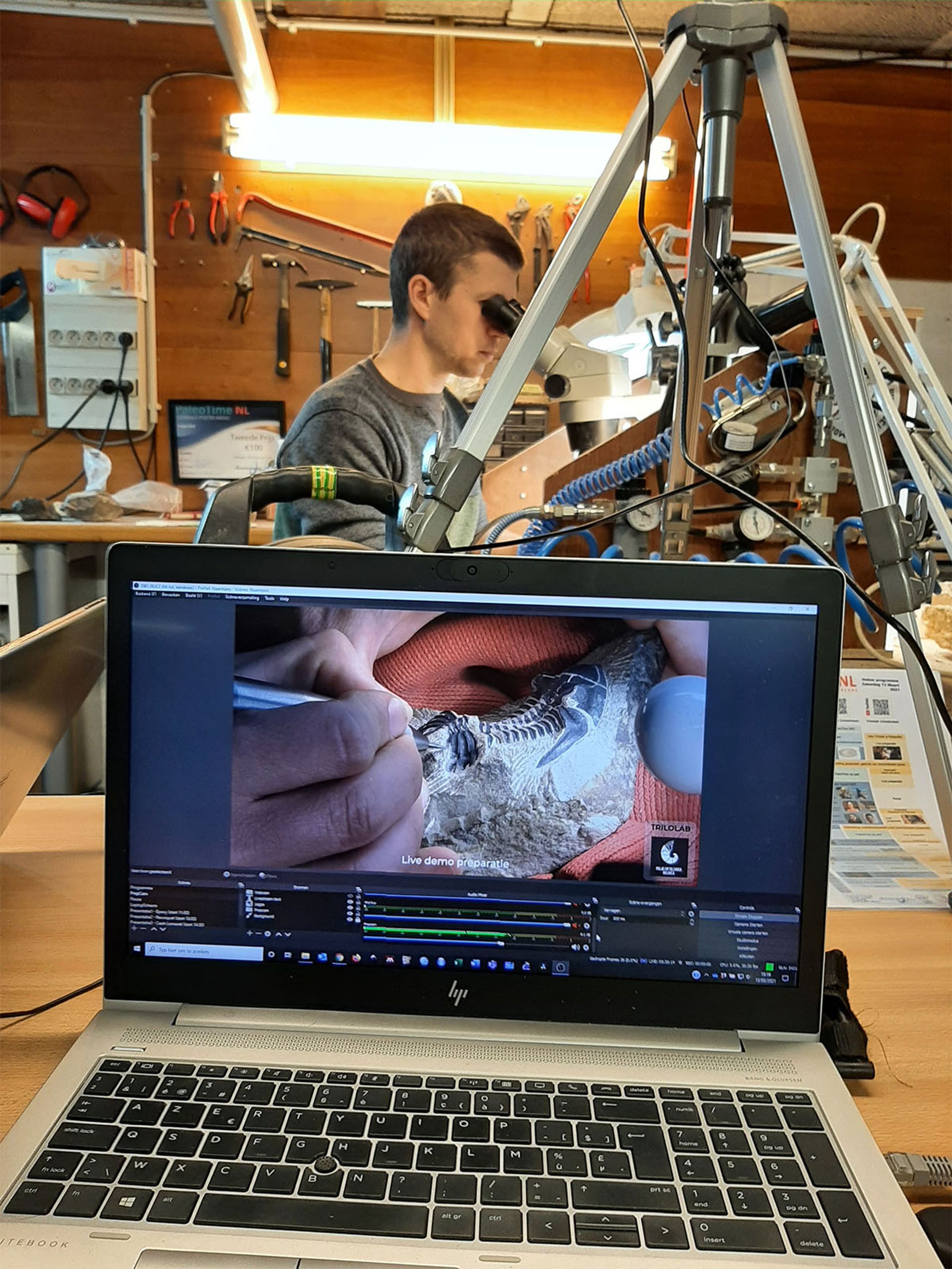 Livestreamed trilobite preparation | PaleoTime NL