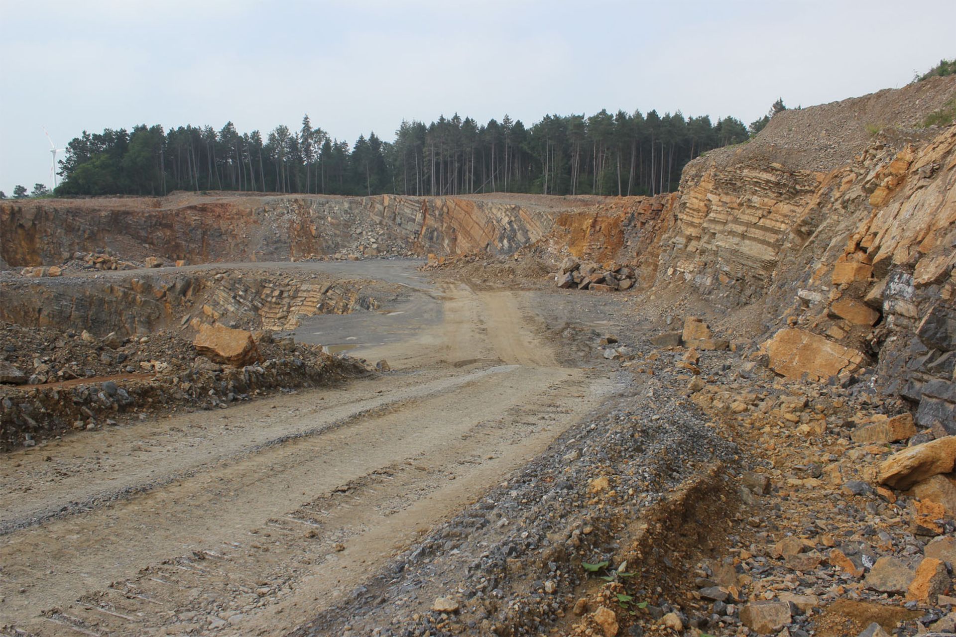 A New Paleontological Association Is Born
