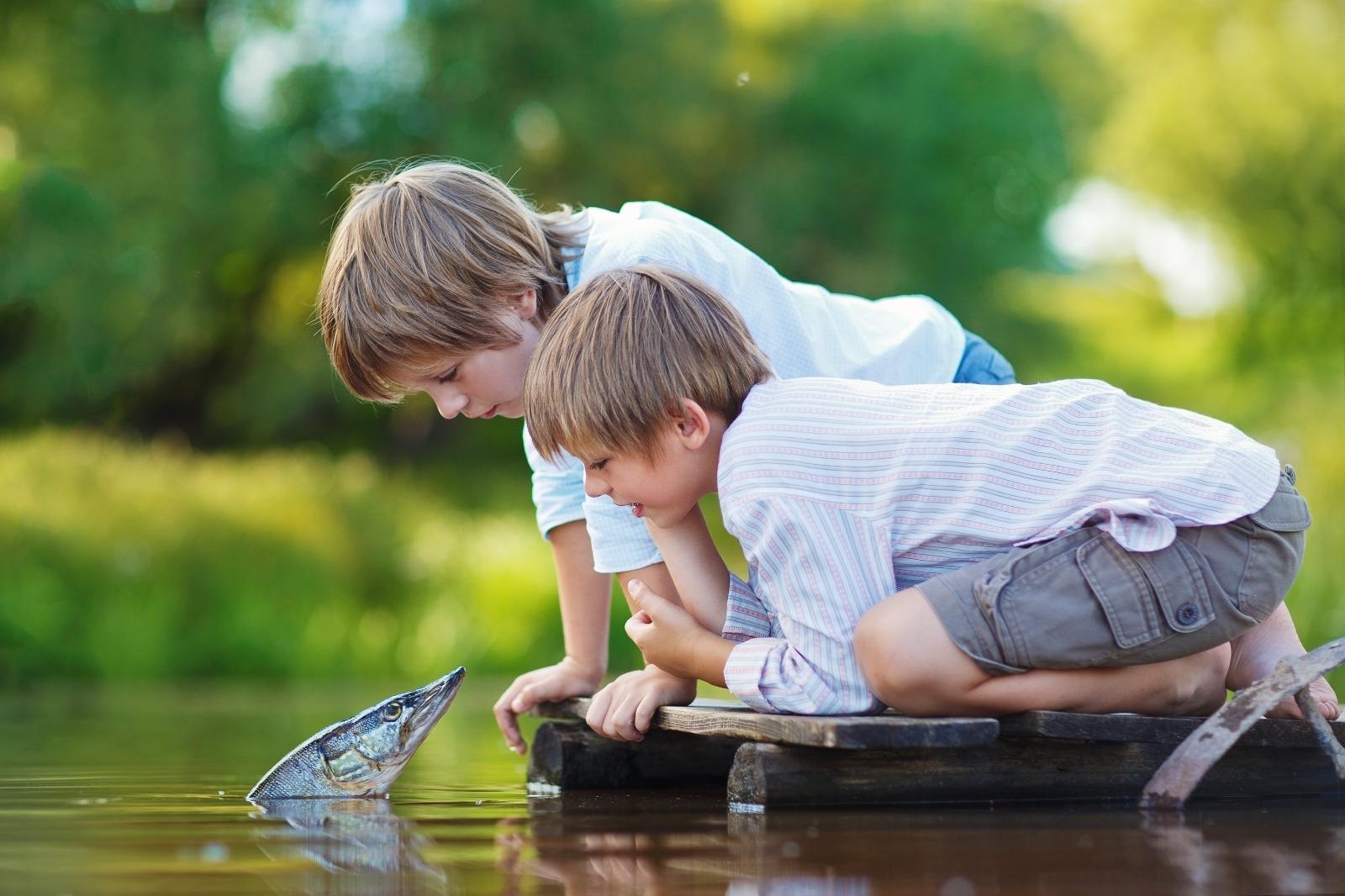 Gecikmiş Dil ve Konuşma