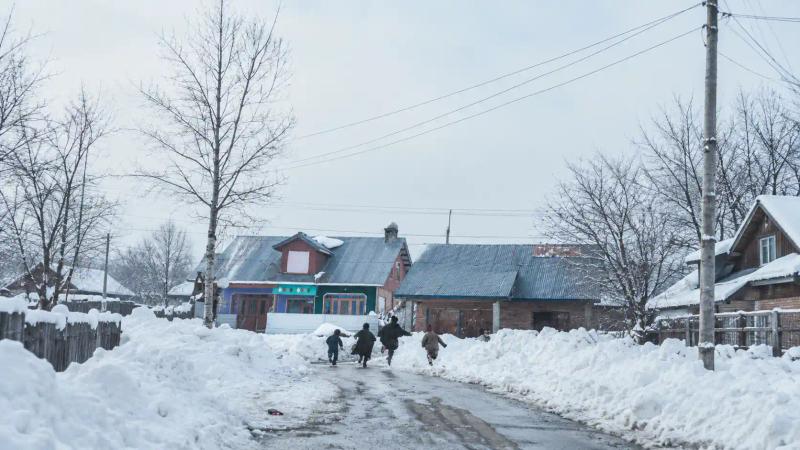 Chillai Kalan in Kashmir with people walking under umbrellas on a snow-covered road surrounded by frost-covered trees.