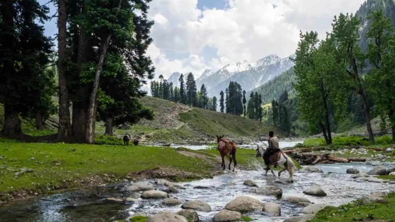 Kashmir vs Manali in Summer 2026 comparison showing scenic mountains, weather, attractions, adventure activities, and travel experience to help choose the best hill station.