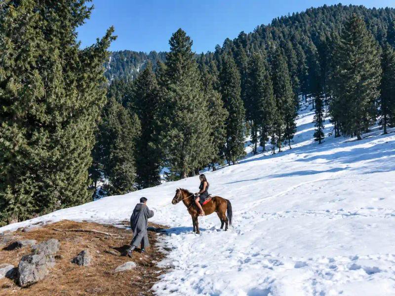 Pony ride on a snowy slope, an easy option in a plan from a Kashmir travel agency for family trips