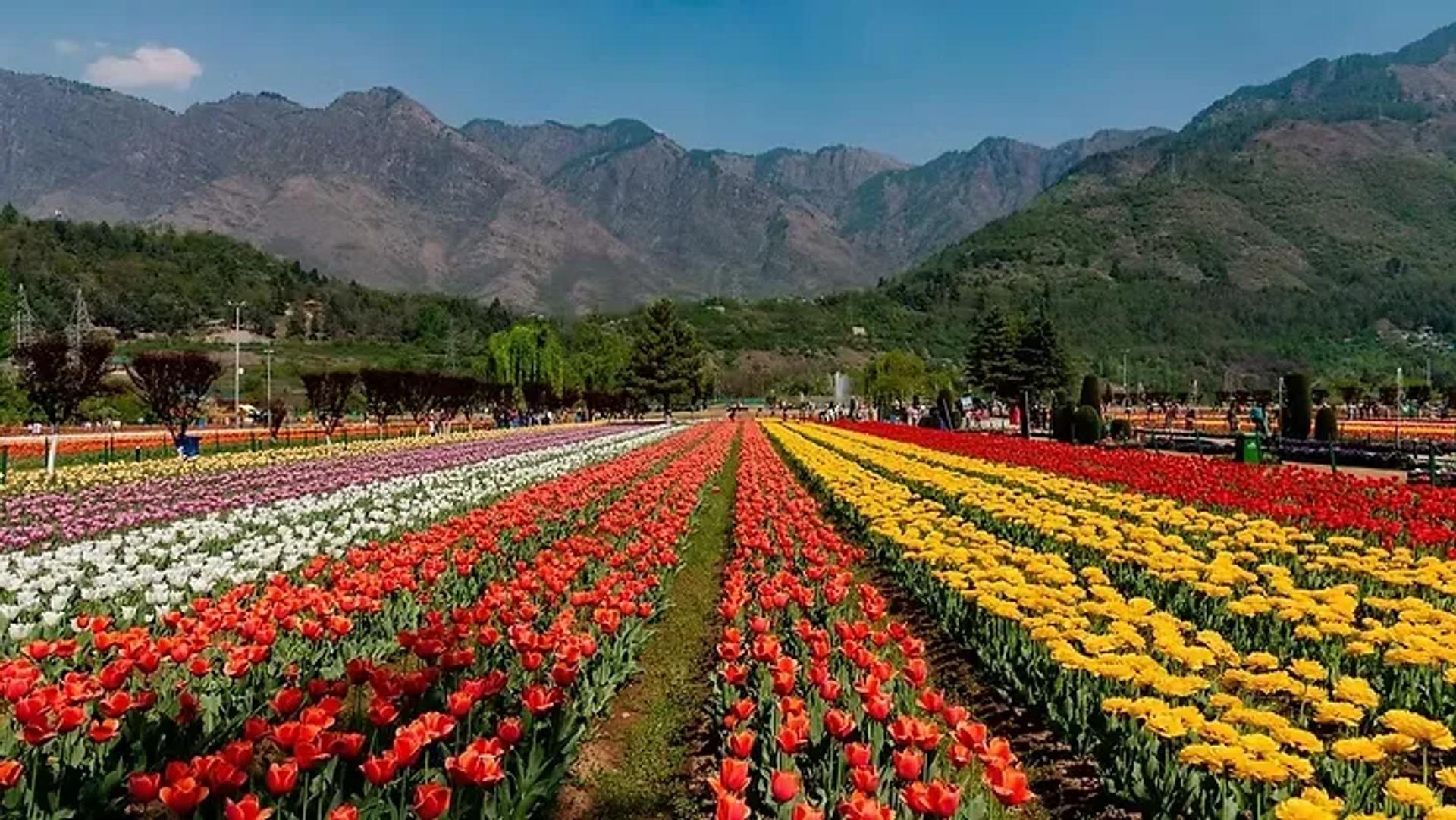 Best Time to Visit Kashmir: A Comprehensive Travel Guide