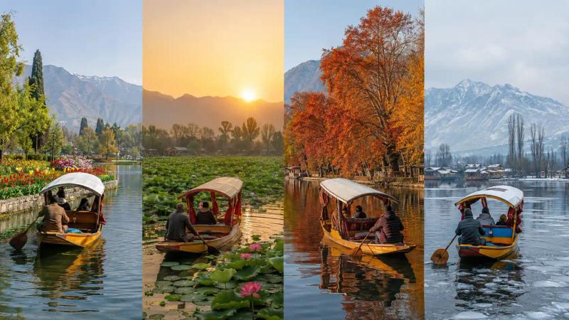 Shikara Ride in Srinagar through spring blooms, summer lotus flowers, autumn Chinar trees and the snowy winter landscape of Dal Lake.
