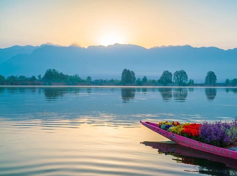 Panoramic view of Dal Lake in Kashmir, showcasing its serene waters surrounded by lush gardens and towering mountains