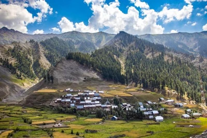 How to Reach Gurez Valley with a scenic view of Gurez Valley village surrounded by green fields, pine forests, and mountains.