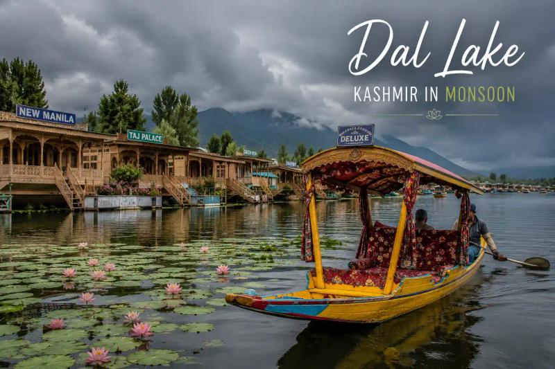 Shikara boat on Dal Lake during Kashmir monsoon with lotus flowers and houseboats