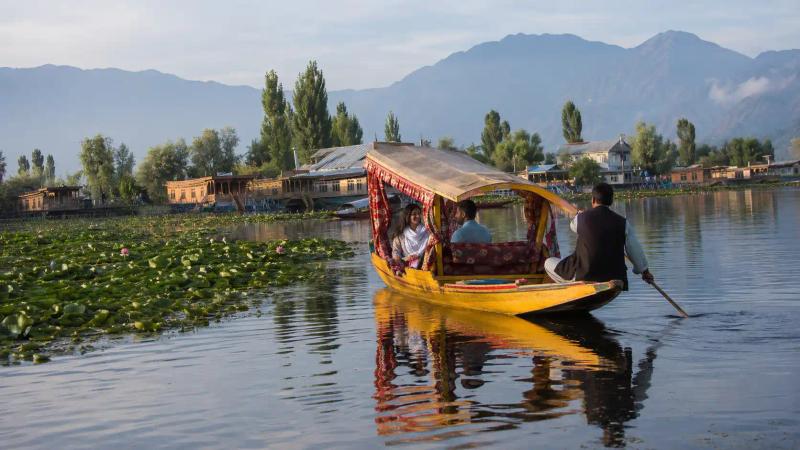 Shikara ride in Srinagar passing floating lotus gardens and houseboats on Dal Lake