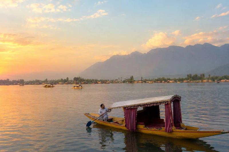 Shikara boat on a Srinagar lake at sunset, a family highlight from Kashmir tour operators for family trips